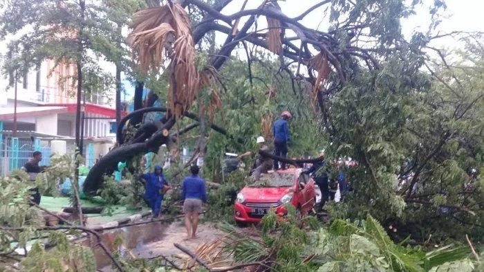 Daihatsu Ayla tertimpa pohon ambruk di depan RS Labuang Baji, Makassar, Sulawesi Selatan