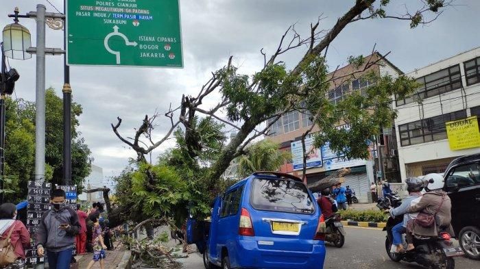 Suzuki Futura angkot yang digebrak pohon tumbang