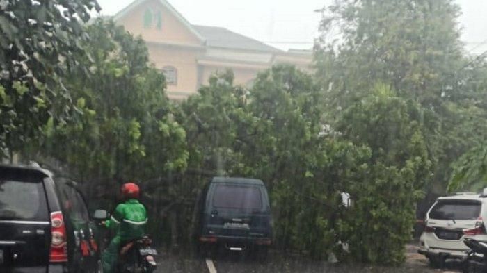 Suzuki Futura dan Toyota Avanza tertimpa pohon roboh di Pasar Kabangan, Laweyan, Surakarta, Jawa Tengah