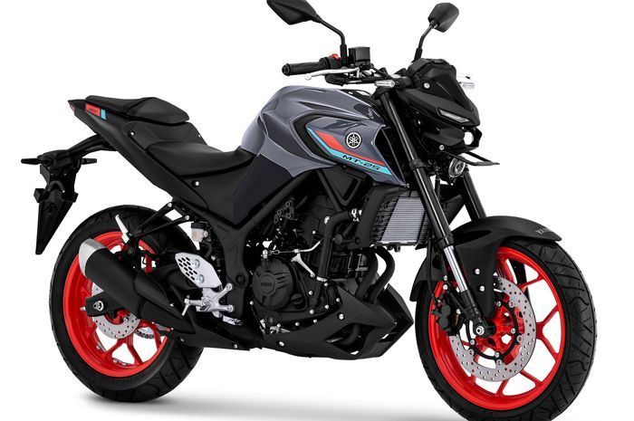 Yamaha MT-25 2021 Metallic Dark Grey