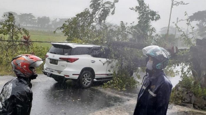 Toyota Fortuner tertimpa pohon tumbangdi Jl Jombor Indah, desa Jimbung, Kalikotes, Klaten, Jawa Tengah