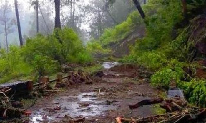 jalan menuju pos pemberhentian terputus total akibat longsor.