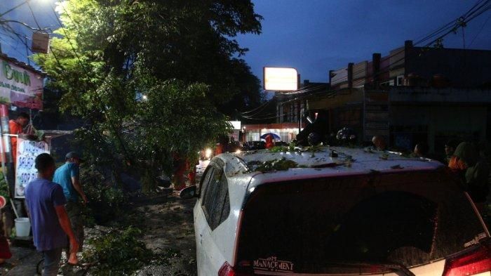 Evakuasi pohon yang jatuh di atas Daihatsu Sigra