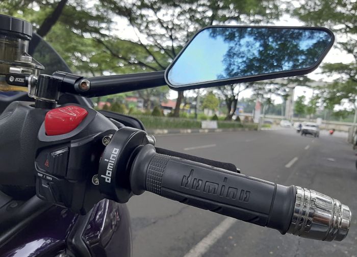 Spion Rhizoma gas spontan dan grip Domino