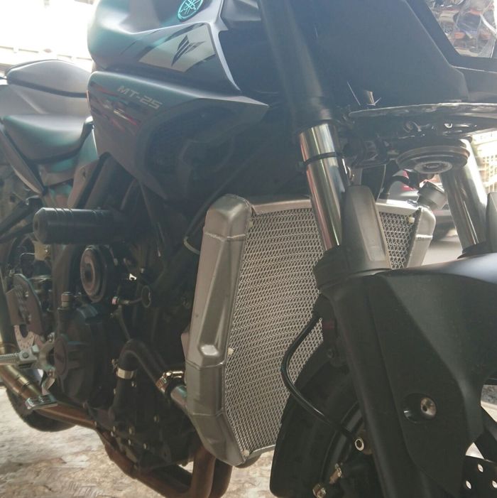 Tampilan MT-25 terlihat kekar dengan radiator besar ini 