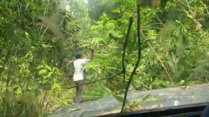 pembukaan jalur evakuasi off-roader di hutan Aceh Tamiang.