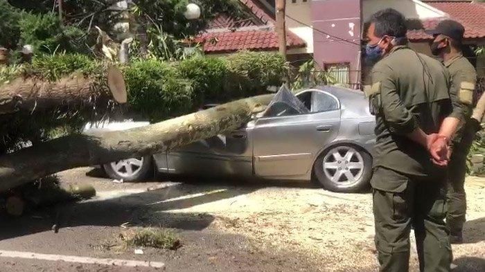 Kondisi Hyundai Avega gepeng, atap ambles digeprek pohon di Jl Bungur, Bandung, Jawa Barat