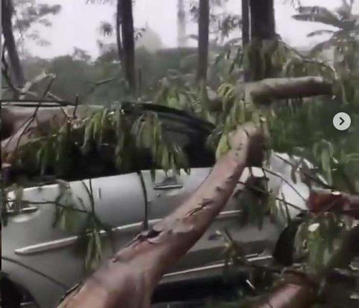 Kondisi Toyota Avanza Veloz saat masih tertimpa pohon tumbang di Kembangan, Jakarta Barat