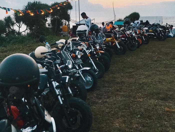 Komunitas Brothers Monkey di Bali