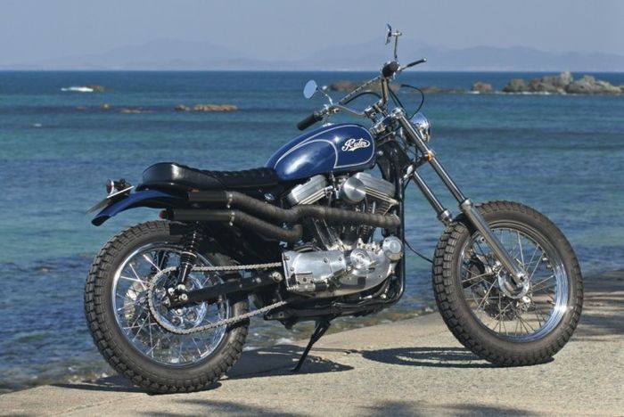 Harley-Davidson Sporster 883 scrambler yang menawan