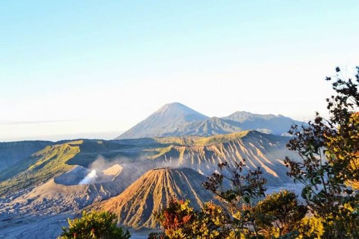 Ilustrasi pemandangan Gunung Bromo hingga Puncak Mahameru di Gunung Semeru di pagi hari.