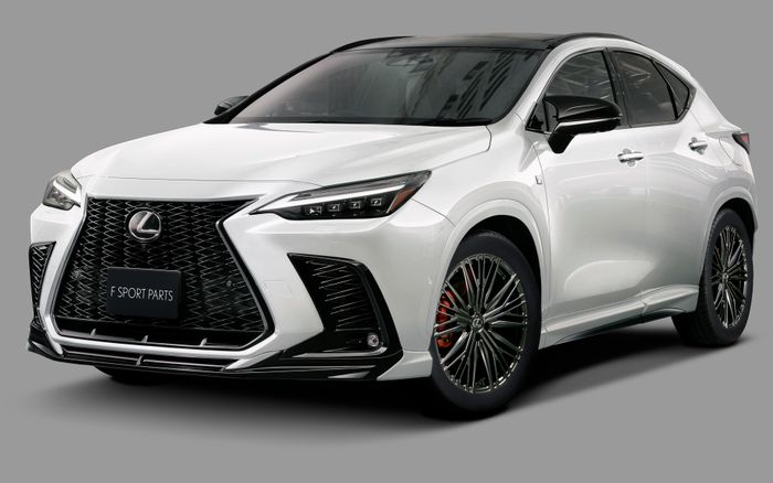 Lexus NX baru dapat aksesori bodi dan kabin dari TRD