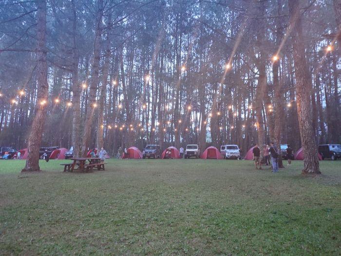 Suasana senja saat MJI Camping