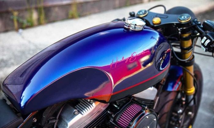 Tangki menggunakan produk Omega Racer