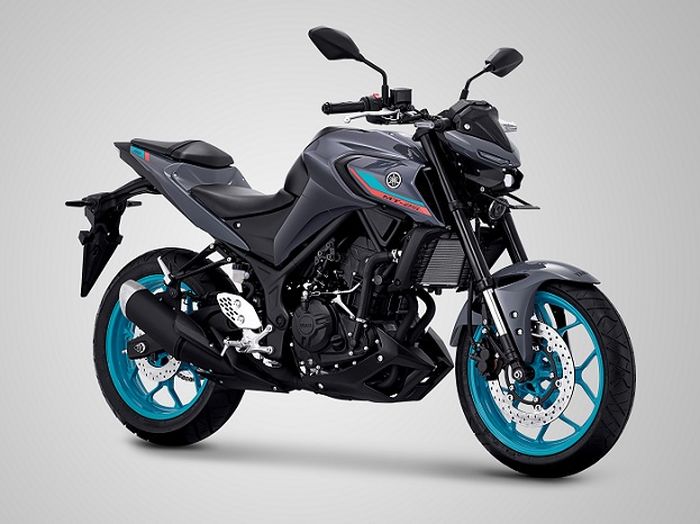 Yamaha MT-25 Metallic Dark Grey