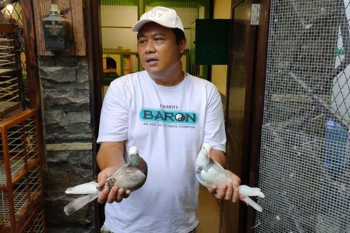 Yunius Martin (41), peternak asal Jalan Kapten Ismail, Kota Tegal, Jawa Tengah memegang burung merpati kolong bernama Rampok (kanan) yang baru dibelinya seharga Rp 2 miliar, di kandang ternaknya di Desa Mejasem, Kramat, Tegal, Jumat (19/11/2021).
