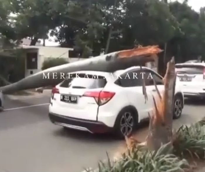 Honda HR-V tertimpa pohon Palem di Pondok Indah, Jakarta Selatan