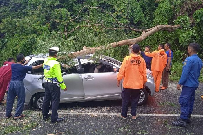 Toyota Avanza tertimpa pohon tumbang di Jl Raden Imba Kusuma, Sukadanaham, Tanjung Karang Barat, Bandar Lampung