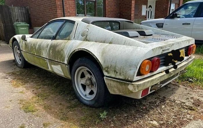 Lumut di Ferrari 512 BBi tumbuh sampai ke bodi bagian belakang tuh.