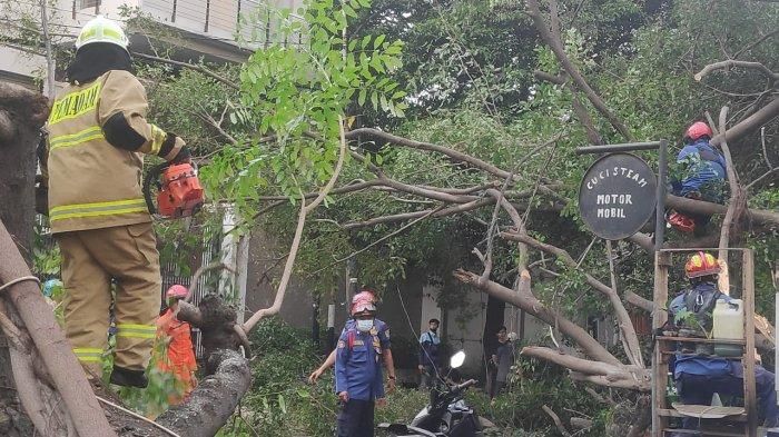 Sejumlah personel Gulkarmat Jakarta Timur memotongi dahan pohon tumbang di cucian motor Jl Kayu Putih Selatan, Pulogadung, Jaktim