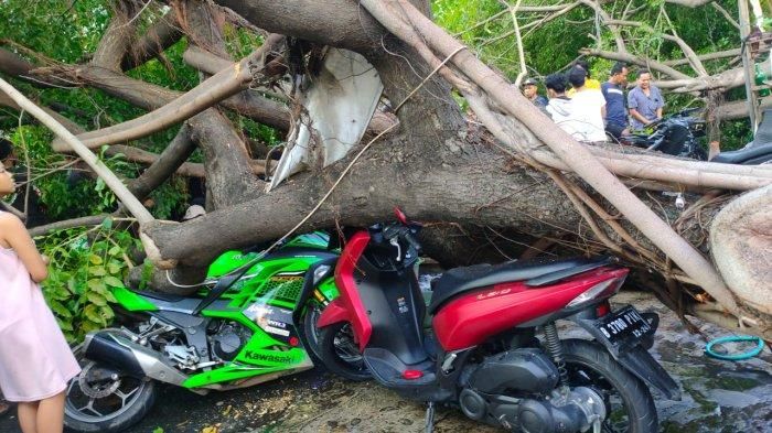 Kawasaki Ninja 250 dan Yamaha Lexi yang tertimpa pohon tumbang di lokasi cucian motor Jl Kayu Putih Selatan, Pulogadung, Jakarta Timur