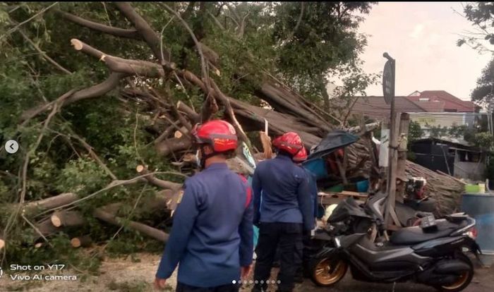 Petugas mengevakuasi Yamaha NMAX yang tertimpa pohon tumbang di Pulogadung, Jaktim
