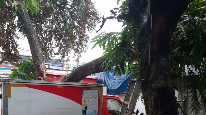 Evakuasi pohon tumbang yang menimpa dua mobil Xenia dan Honda Jazz di Cilandak Barat pada Jumat (22/4/2022).