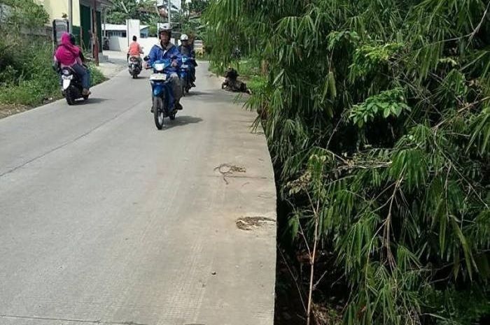 Wajib tahu, usia komponen motor ini bisa jadi pendek karena sering melintasi jalan beton. 