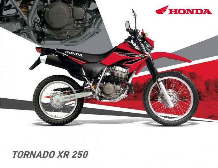 Tampang standar Honda XR250 Tornado