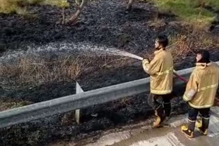 Petugas melakukan pemadaman lahan ilalang yang terbakar, di samping ruas tol Pejagan- Pemalang KM 268, masuk wilayah Kecamatan Wanasari, Brebes, Senin (19/9/2022). 