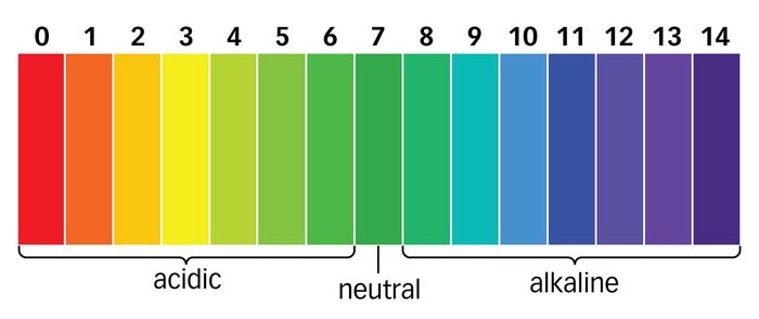 ILUSTRASI. Parameter pH Balance Cairan