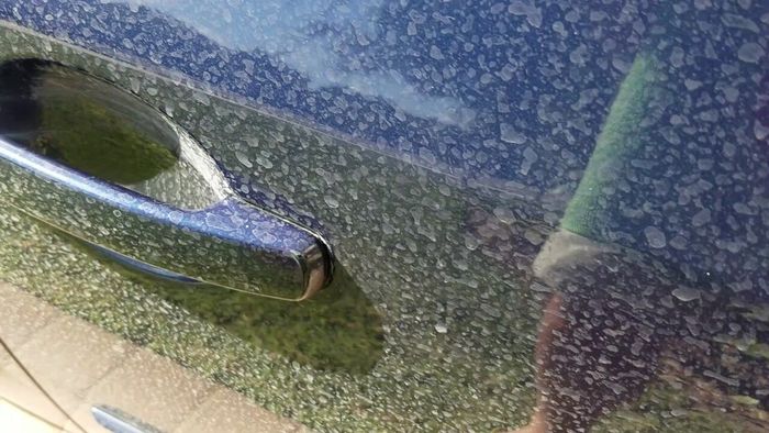 Water spot pada mobil bisa membuat cat jadi berjamur
