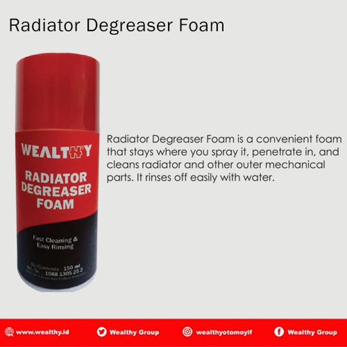 Wealthy Radiaitor Degreaser Foam