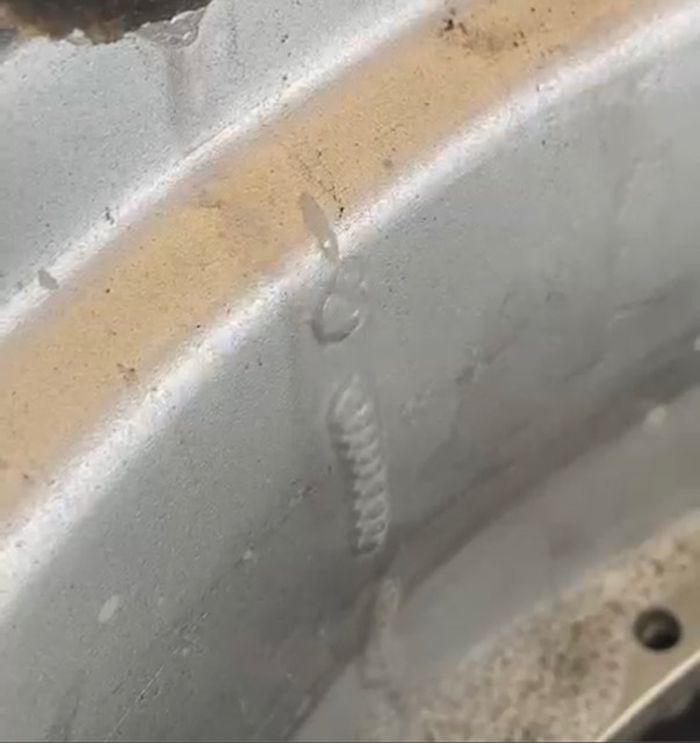 Keluar gelembung udara ketika punggung pelek ditetesi air sabun