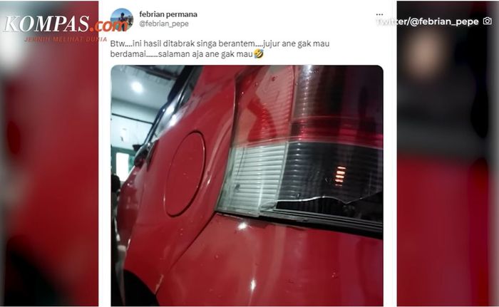 Stoplamp Toyota Yaris pecah ditabrak dua singa berkelahi di Taman Safari Prigen