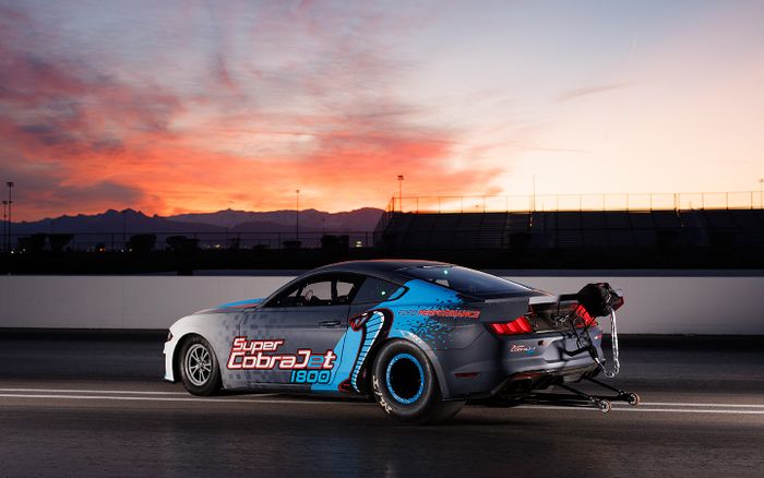 Musang Super Cobra Jet 1800 dipersiapkan untuk memecahkan rekor yang diset oleh Cobra Jet 1400.