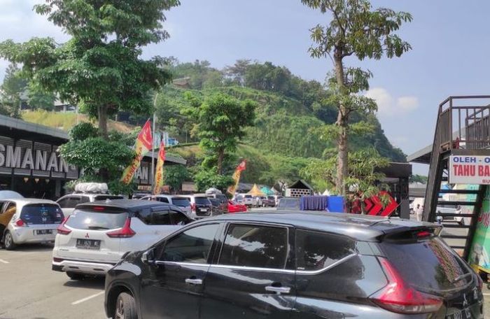 Viral unggahan pemudik yang cuma beli dua porsi nasi ayam dan teh kemasan di Rest Area Tol Cipali, digetok harga Rp 155 ribu. (foto ilustrasi)