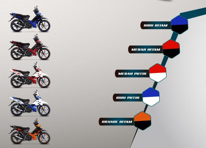 pilihan warna TVS Rockz.