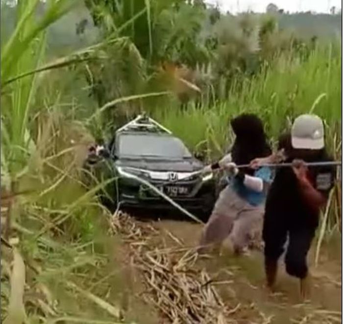 Honda HR-V yang dipakai Google Maps mencari rute tersesat di ladang tebu wilayah Malang, Jawa Timur