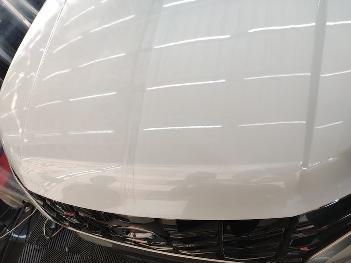 Before and after treatment cuci dan grooming 