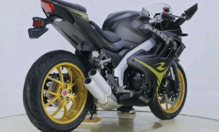 bagian belakangnya juga menganut monoarm yang jadi ciri khas sportbike Ducati.