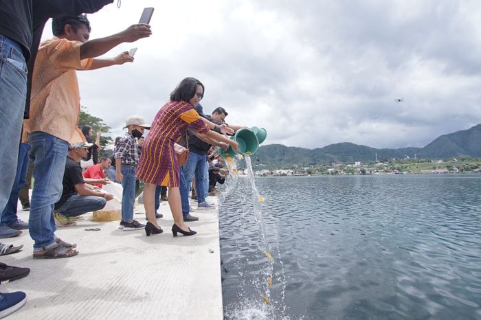 Pelepasan bibit ikan ke danau Toba ditemani pejabat daerah sekitar