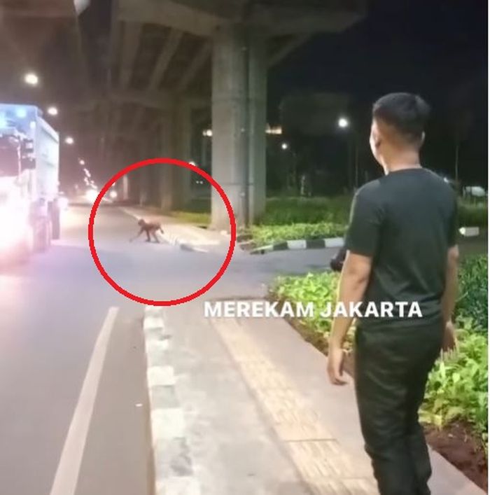 Dalam lingkaran merah, pelaku pelemparan batu ke kaca ambulans Hyundai H-1 di Cipinang Cempedak, Jatinegara, Jakarta Timur