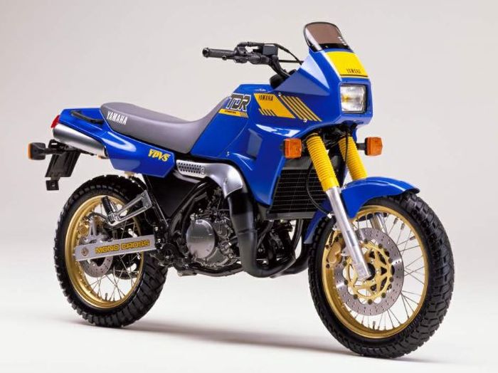 detail tampilan Yamaha TDR250