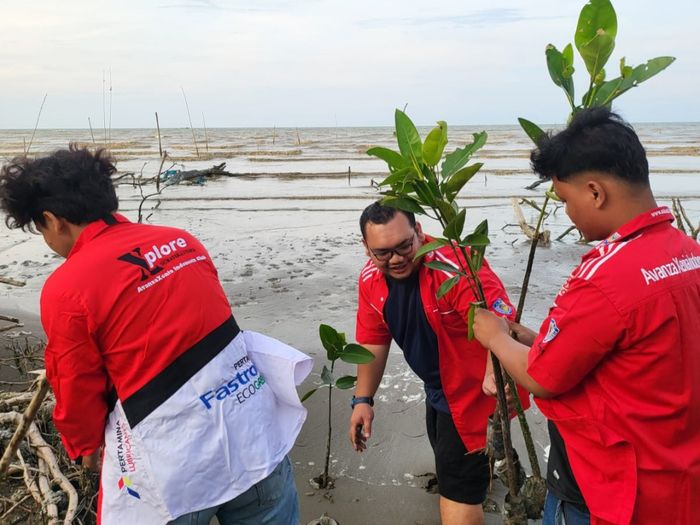 AXIC tanam 500 bibit mangrove di pesisir Pantai Alam Serdang