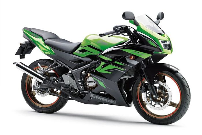 Kawasaki New Ninja 150 RR