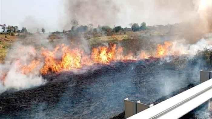 Kebakaran lahan di KM 723/B, Jalan Tol Surabaya- Mojokerto pada Selasa (13/8/2024)