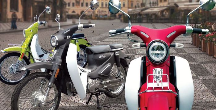 pilihan warna SM Sport Classic