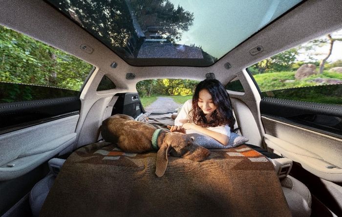 NETA S Shooting Brake Edition dilengkapi fasilitas mewah di dalam kabinnya