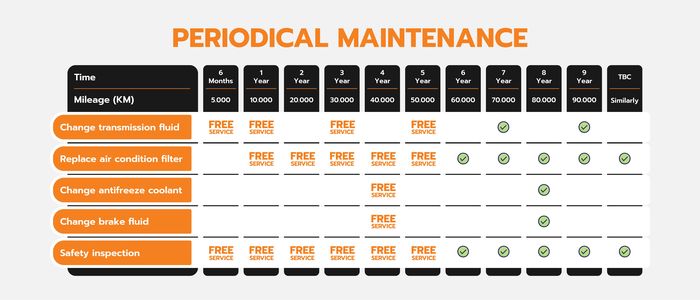 Biaya servis berkala NETA X